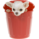 Illustration for article titled Halloween Costumes Your Pet Actually Wants To Wear